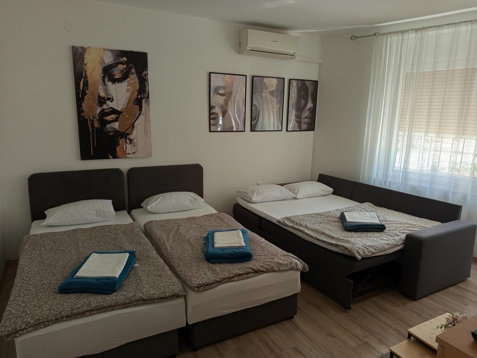 Apartman Vanja Rijeka Bagian luar foto