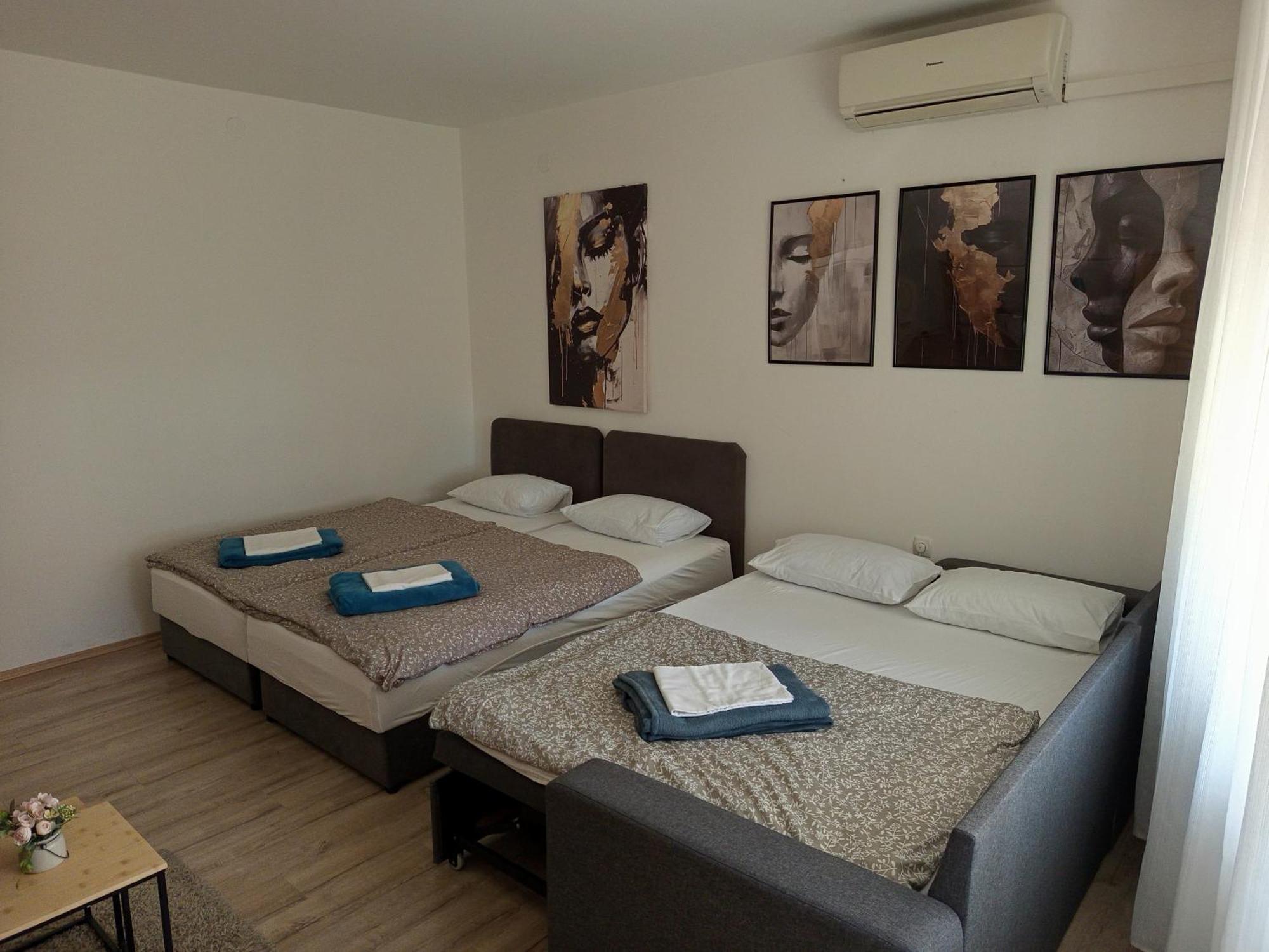 Apartman Vanja Rijeka Bagian luar foto
