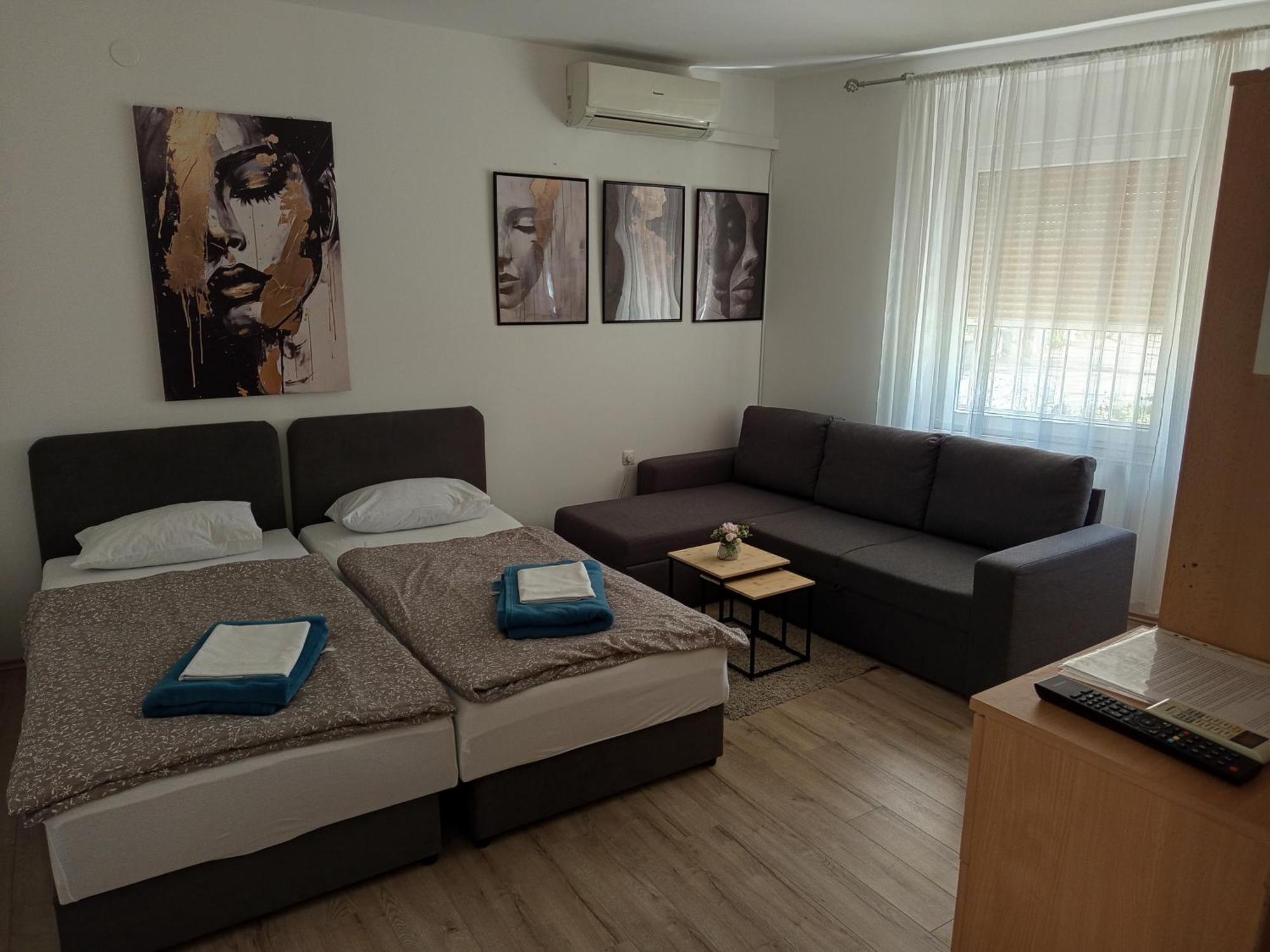 Apartman Vanja Rijeka Bagian luar foto