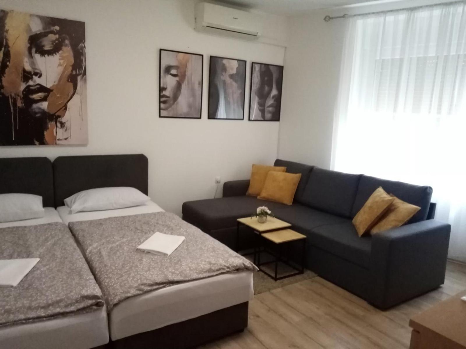 Apartman Vanja Rijeka Bagian luar foto