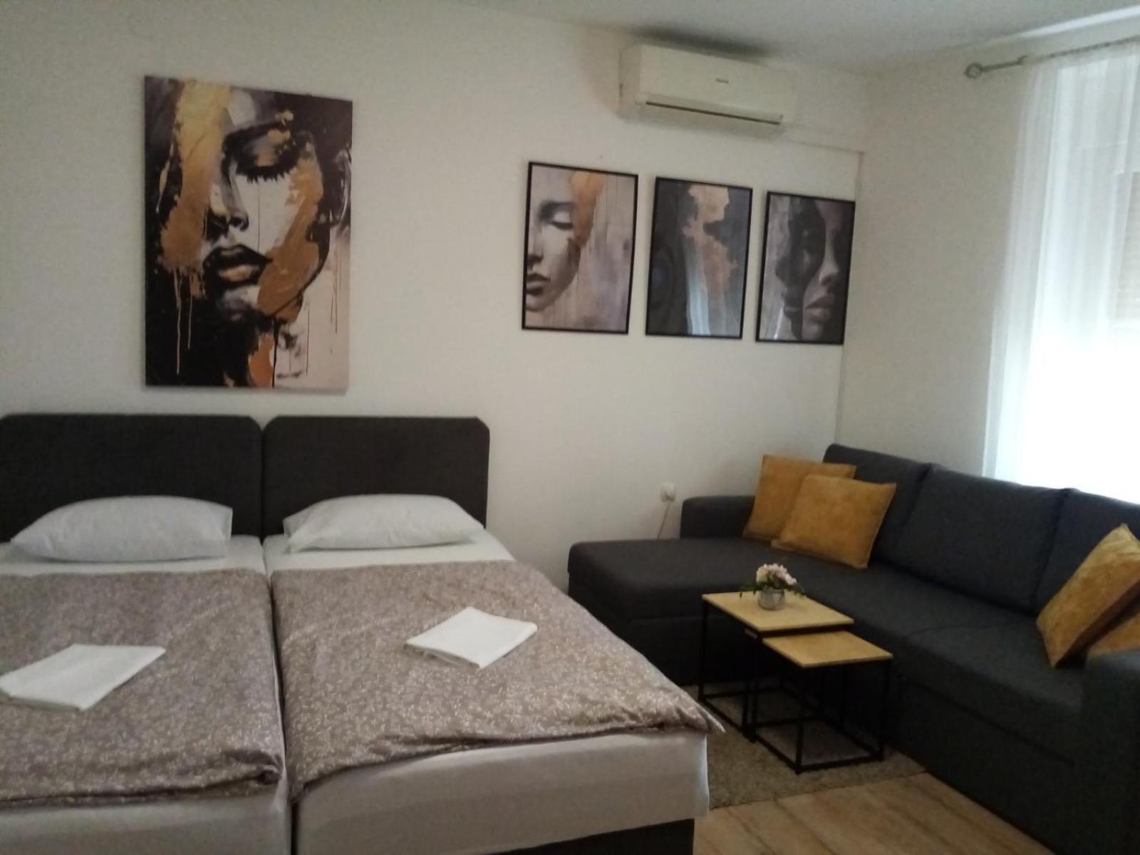Apartman Vanja Rijeka Bagian luar foto